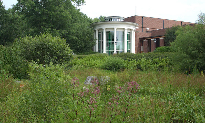 Rain Garden at Brevard College designed by Fusco Land Planning