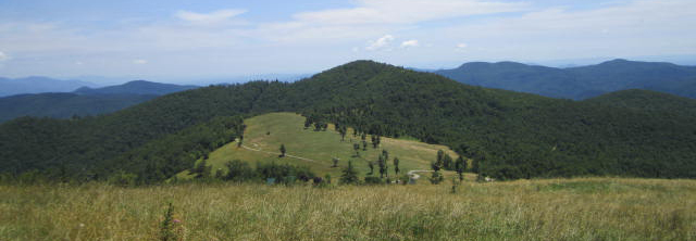 Client Case Study: Little Pisgah Mountain Conservation Easement