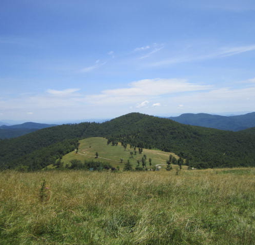 Client Case Study: Little Pisgah Mountain Conservation Easement